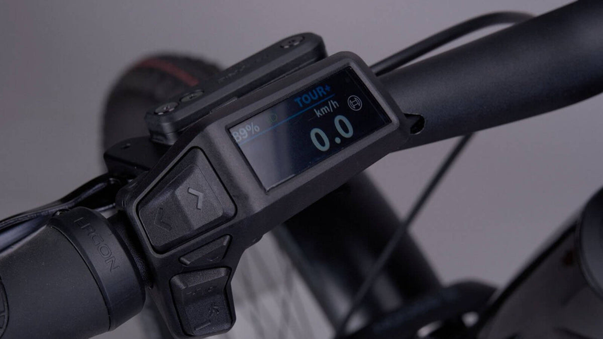 Skye – Bosch Purion Display