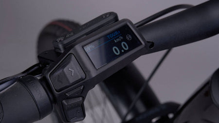 Skye – Bosch Purion Display